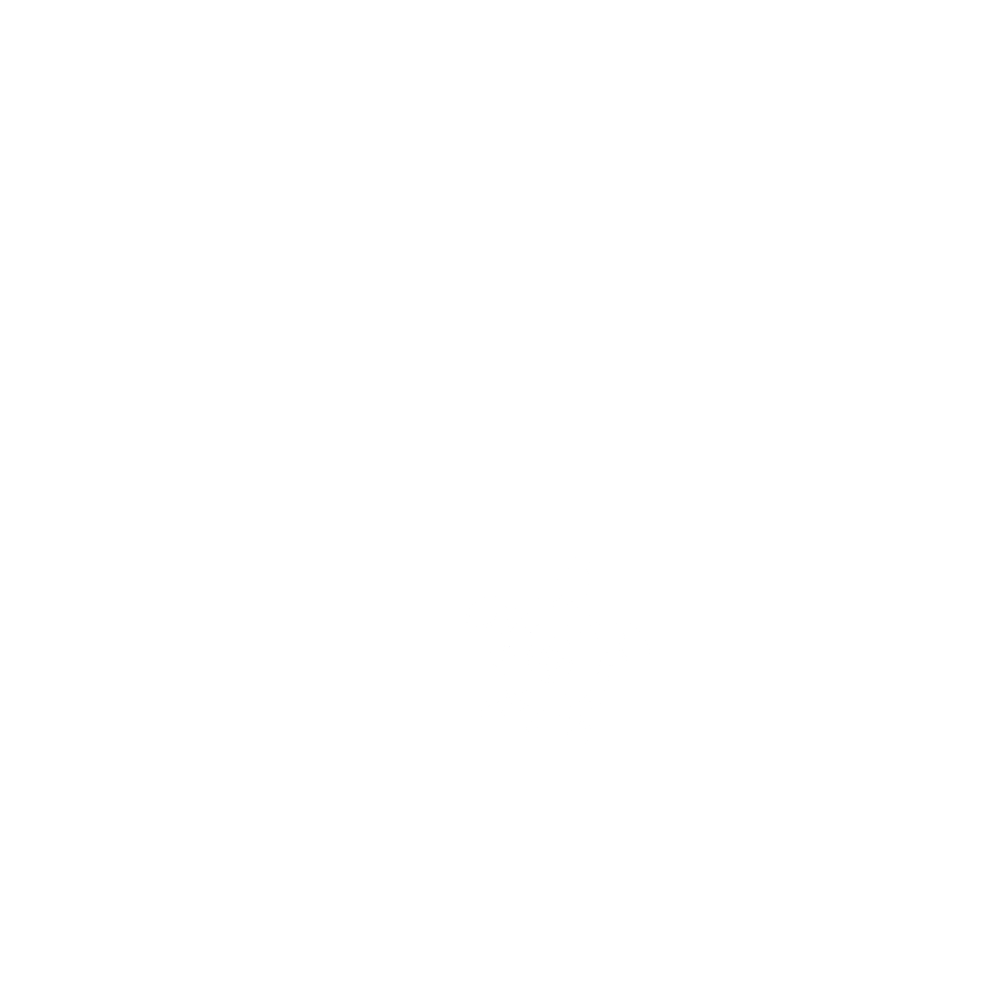 logo-econoviaje-blanco